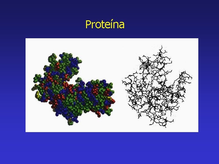 Proteína 