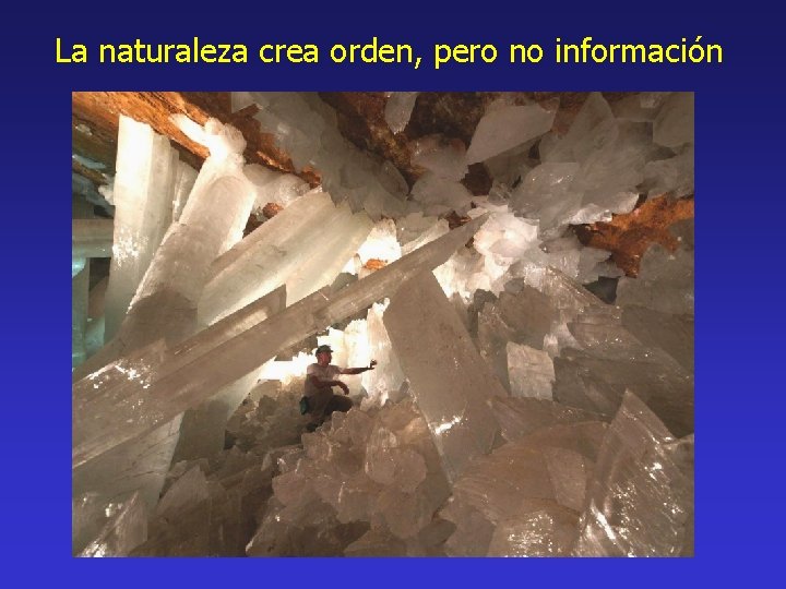 La naturaleza crea orden, pero no información 