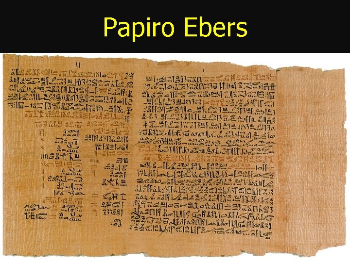 Papiro Ebers 