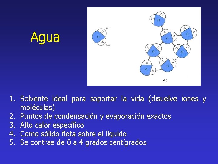 Agua 1. Solvente ideal para soportar la vida (disuelve iones y moléculas) 2. Puntos