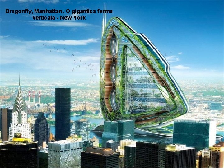 Dragonfly, Manhattan. O gigantica ferma verticala - New York 