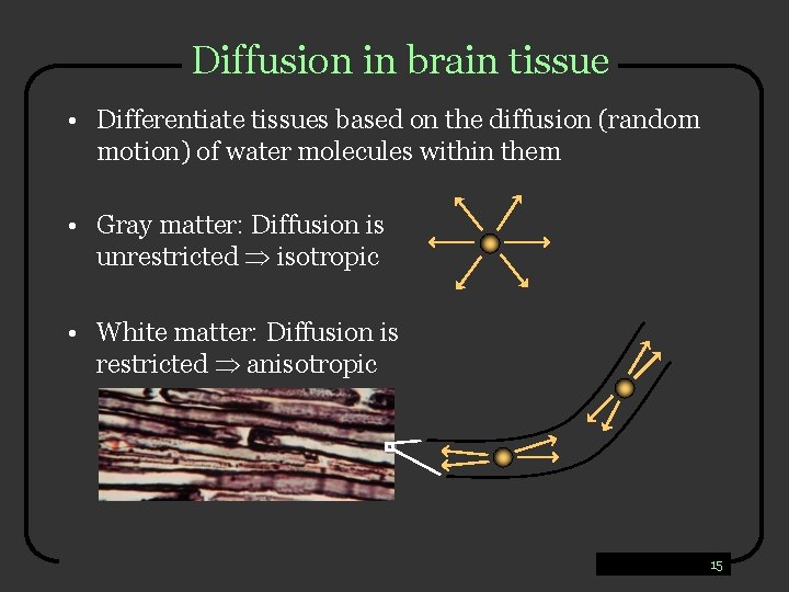 Diffusion in brain tissue • Differentiate tissues based on the diffusion (random motion) of