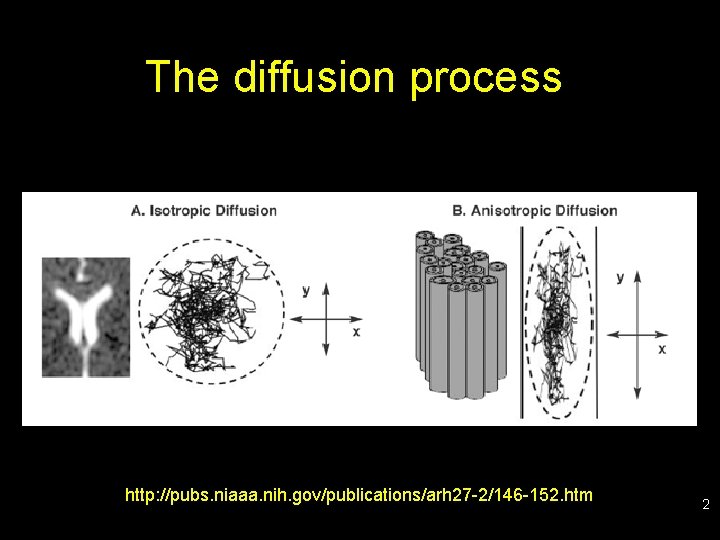 The diffusion process http: //pubs. niaaa. nih. gov/publications/arh 27 -2/146 -152. htm 2 