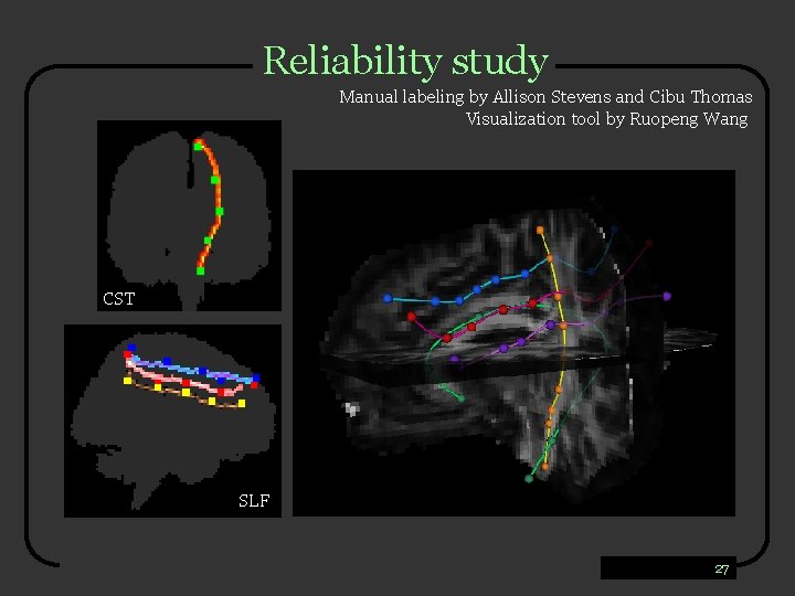 Reliability study Manual labeling by Allison Stevens and Cibu Thomas Visualization tool by Ruopeng