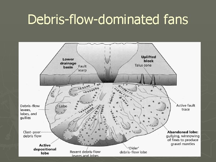 Debris-flow-dominated fans 