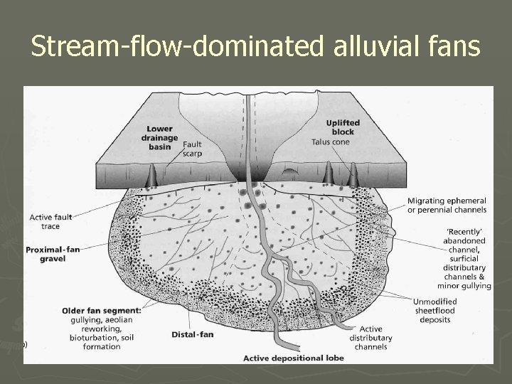Stream-flow-dominated alluvial fans 