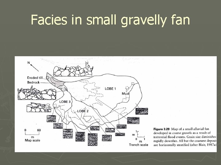 Facies in small gravelly fan 