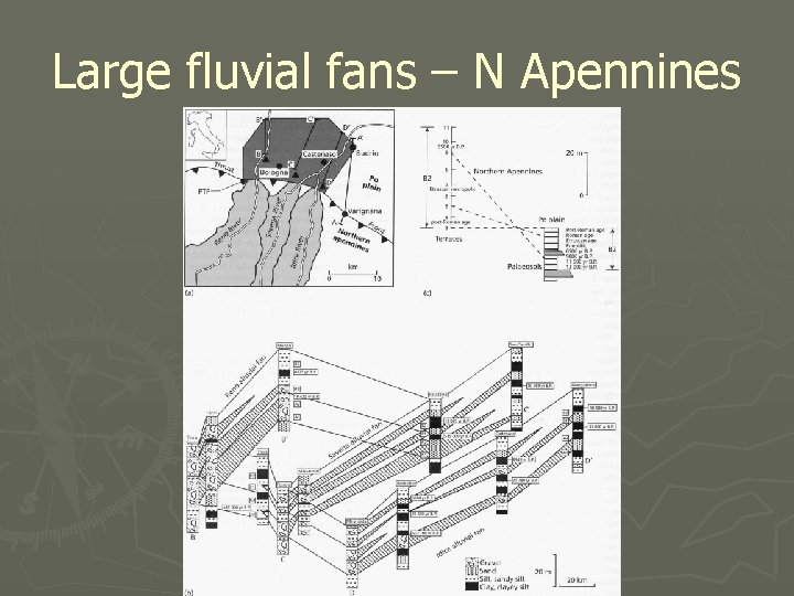 Large fluvial fans – N Apennines 