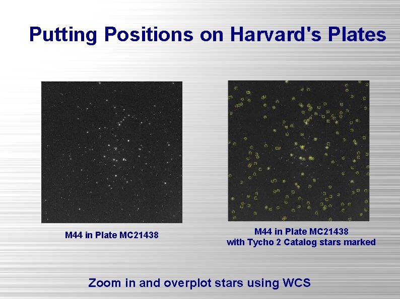 Putting Positions on Harvard's Plates M 44 in Plate MC 21438 with Tycho 2