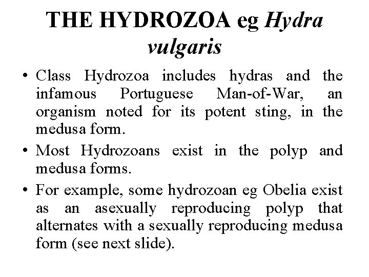 THE HYDROZOA eg Hydra vulgaris • Class Hydrozoa includes hydras and the infamous Portuguese