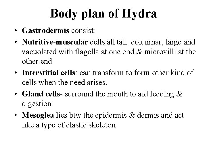 Body plan of Hydra • Gastrodermis consist: • Nutritive-muscular cells all tall. columnar, large