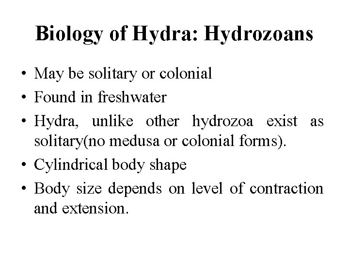 Biology of Hydra: Hydrozoans • May be solitary or colonial • Found in freshwater