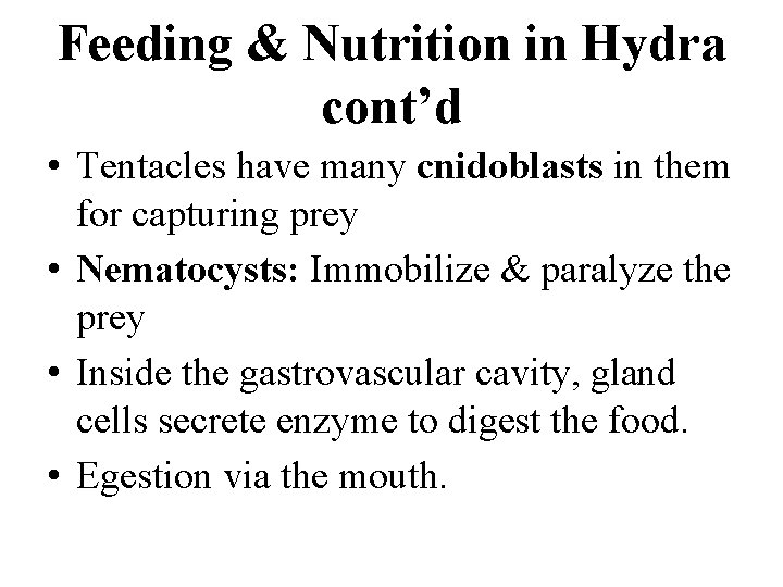 Feeding & Nutrition in Hydra cont’d • Tentacles have many cnidoblasts in them for