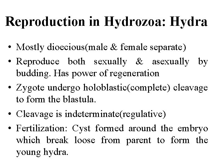 Reproduction in Hydrozoa: Hydra • Mostly dioecious(male & female separate) • Reproduce both sexually