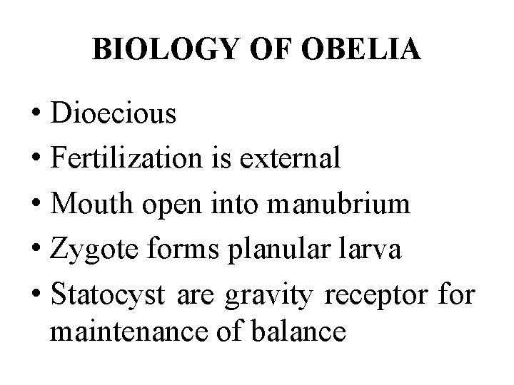 BIOLOGY OF OBELIA • Dioecious • Fertilization is external • Mouth open into manubrium