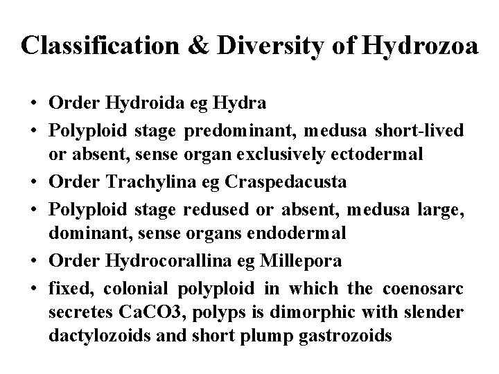 Classification & Diversity of Hydrozoa • Order Hydroida eg Hydra • Polyploid stage predominant,