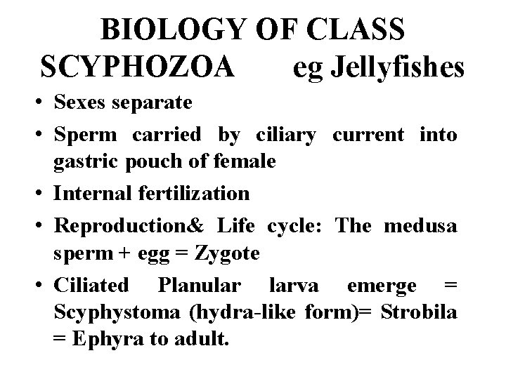 BIOLOGY OF CLASS SCYPHOZOA eg Jellyfishes • Sexes separate • Sperm carried by ciliary