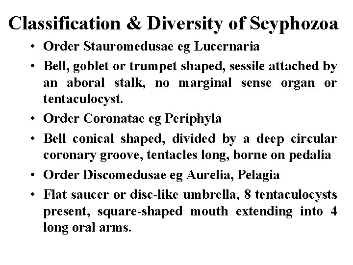 Classification & Diversity of Scyphozoa • Order Stauromedusae eg Lucernaria • Bell, goblet or