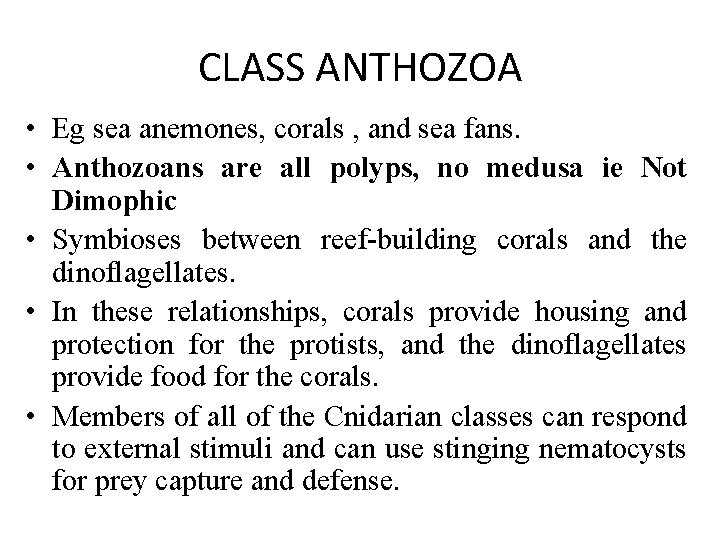 CLASS ANTHOZOA • Eg sea anemones, corals , and sea fans. • Anthozoans are