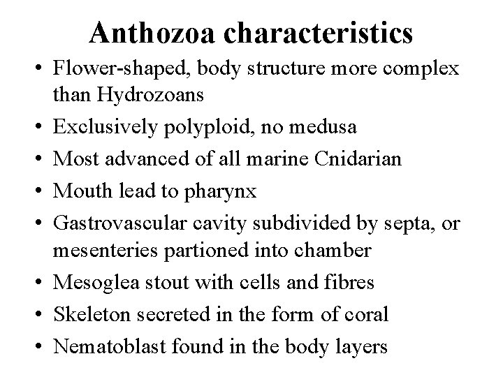 Anthozoa characteristics • Flower-shaped, body structure more complex than Hydrozoans • Exclusively polyploid, no