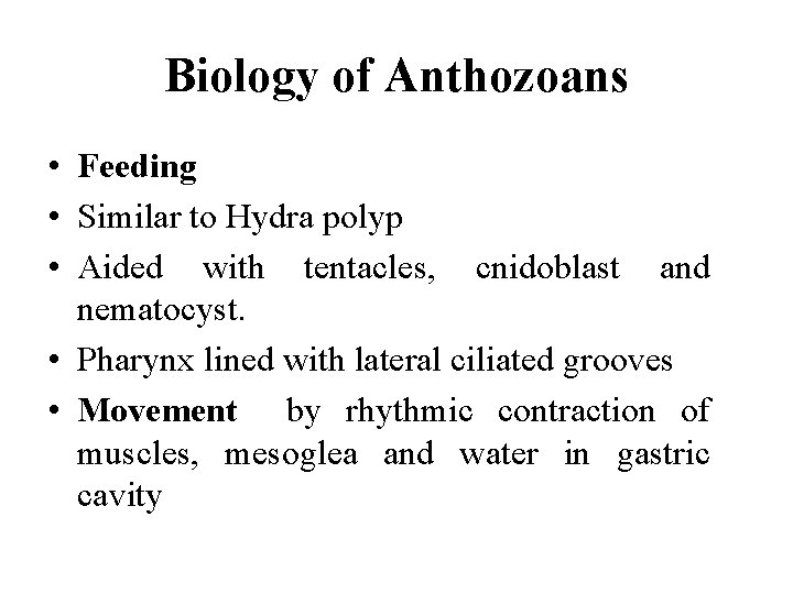 Biology of Anthozoans • Feeding • Similar to Hydra polyp • Aided with tentacles,