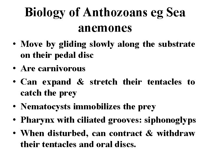 Biology of Anthozoans eg Sea anemones • Move by gliding slowly along the substrate