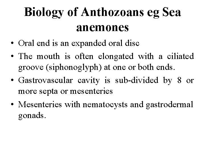 Biology of Anthozoans eg Sea anemones • Oral end is an expanded oral disc