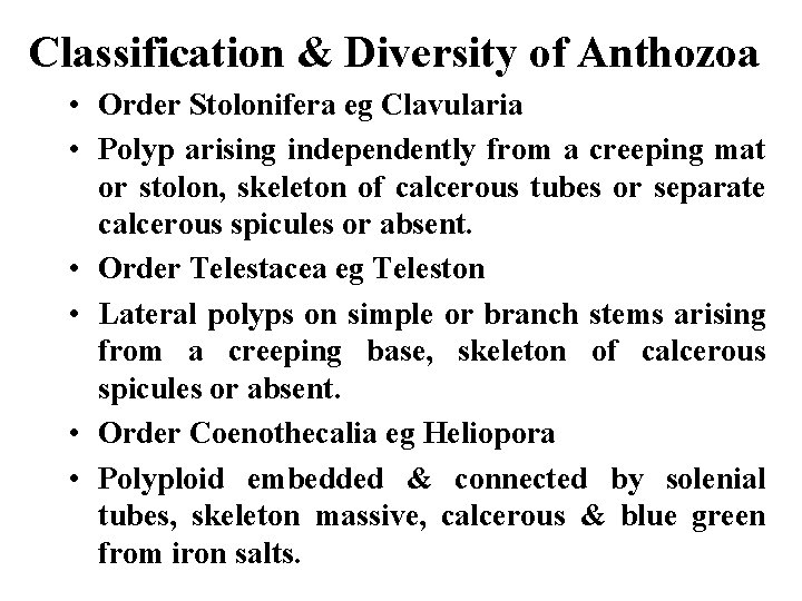 Classification & Diversity of Anthozoa • Order Stolonifera eg Clavularia • Polyp arising independently