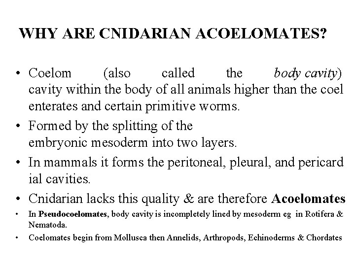 WHY ARE CNIDARIAN ACOELOMATES? • Coelom (also called the body cavity) cavity within the