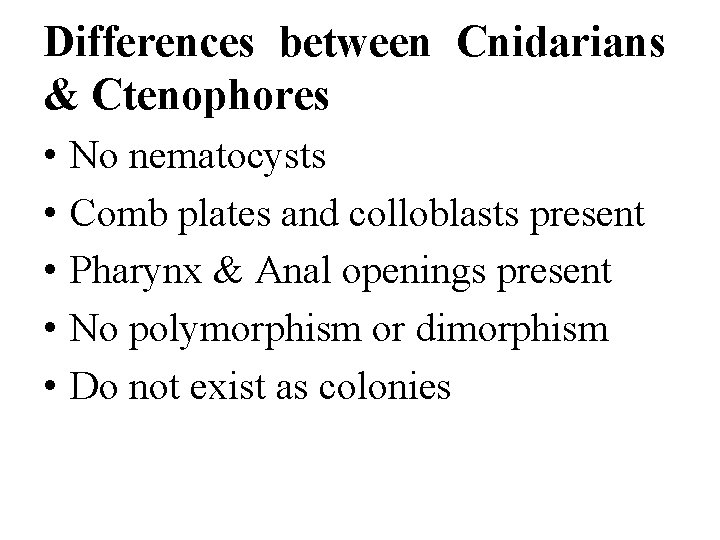 Differences between Cnidarians & Ctenophores • • • No nematocysts Comb plates and colloblasts