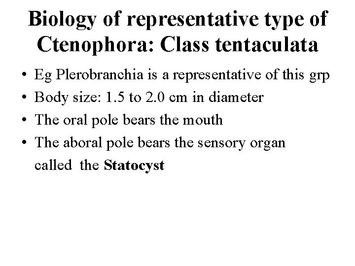 Biology of representative type of Ctenophora: Class tentaculata • • Eg Plerobranchia is a