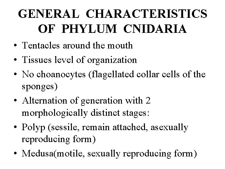 GENERAL CHARACTERISTICS OF PHYLUM CNIDARIA • Tentacles around the mouth • Tissues level of