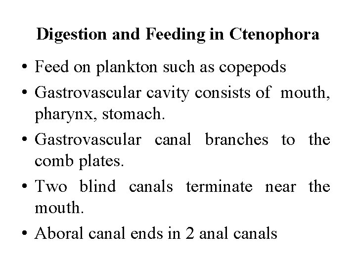 Digestion and Feeding in Ctenophora • Feed on plankton such as copepods • Gastrovascular