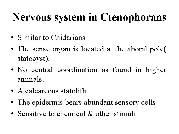 Nervous system in Ctenophorans • Similar to Cnidarians • The sense organ is located