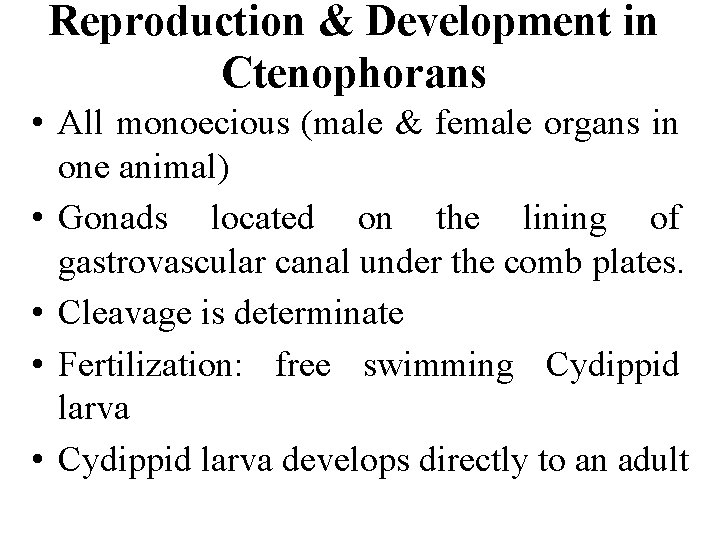 Reproduction & Development in Ctenophorans • All monoecious (male & female organs in one
