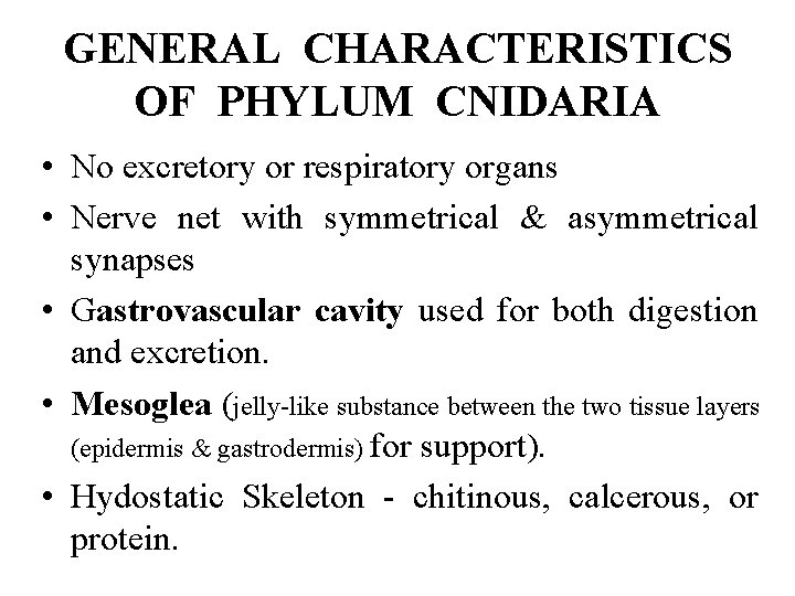 GENERAL CHARACTERISTICS OF PHYLUM CNIDARIA • No excretory or respiratory organs • Nerve net