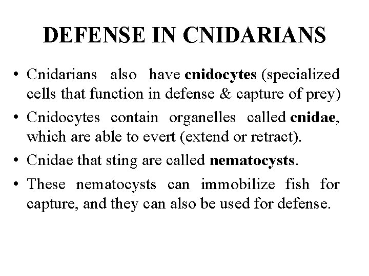 DEFENSE IN CNIDARIANS • Cnidarians also have cnidocytes (specialized cells that function in defense