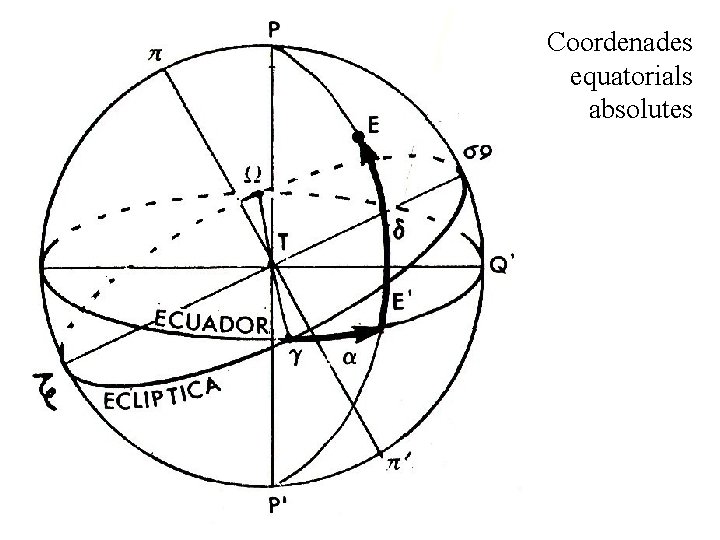 Coordenades equatorials absolutes 