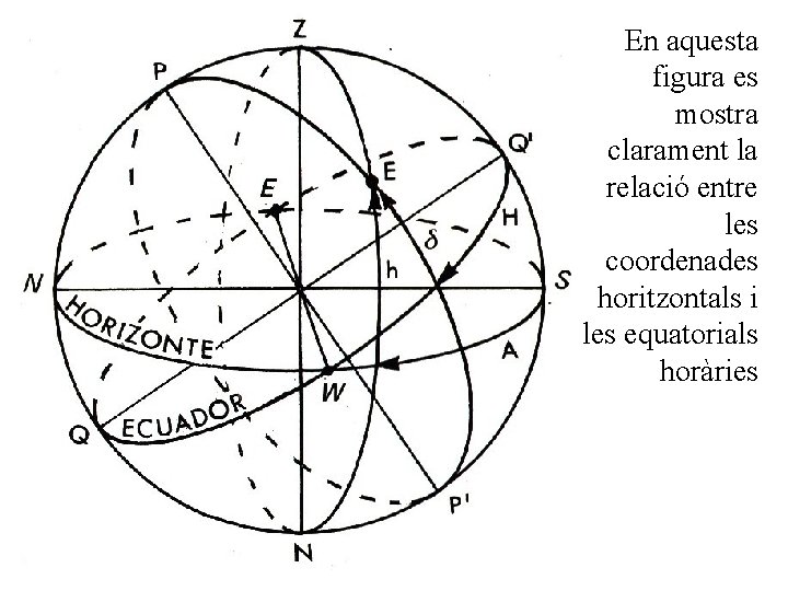 En aquesta figura es mostra clarament la relació entre les coordenades horitzontals i les
