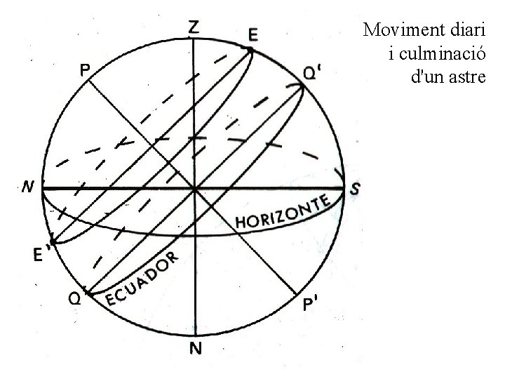 Moviment diari i culminació d'un astre 