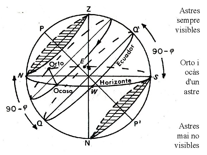 Astres sempre visibles Orto i ocàs d'un astre Astres mai no visibles 