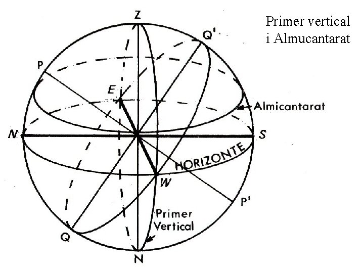 Primer vertical i Almucantarat 