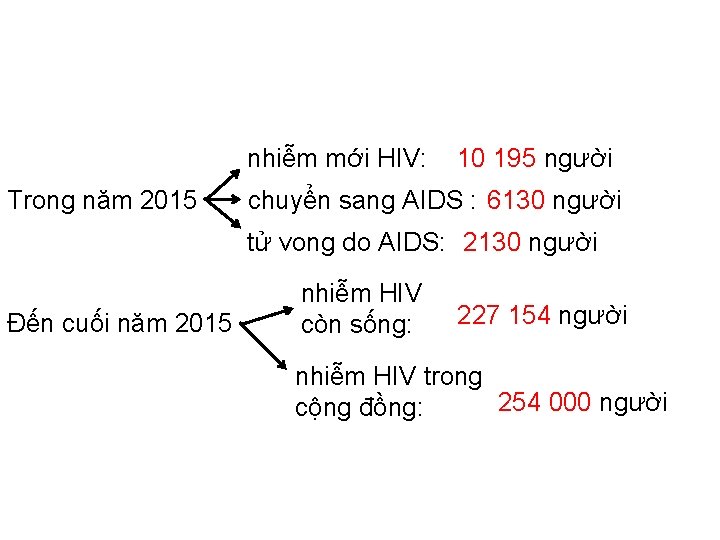 nhiễm mới HIV: Trong năm 2015 10 195 người chuyển sang AIDS : 6130