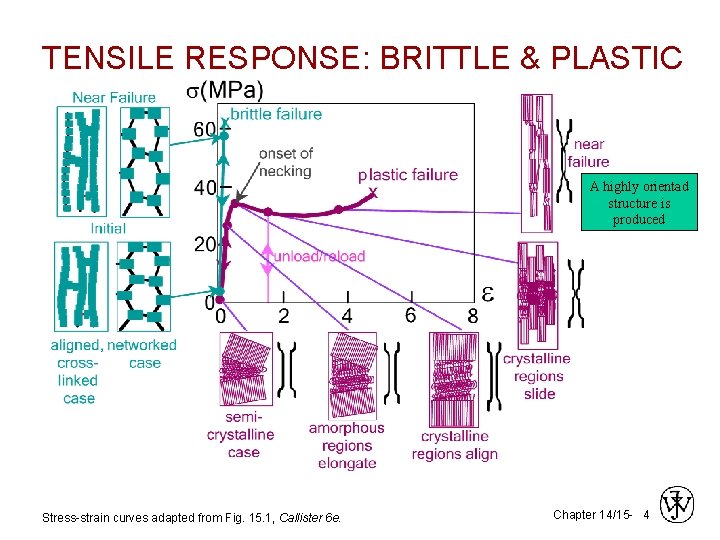 TENSILE RESPONSE: BRITTLE & PLASTIC A highly orientad structure is produced Stress-strain curves adapted