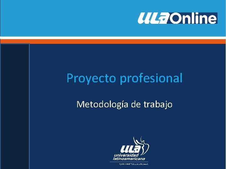 Proyecto profesional Metodología de trabajo 