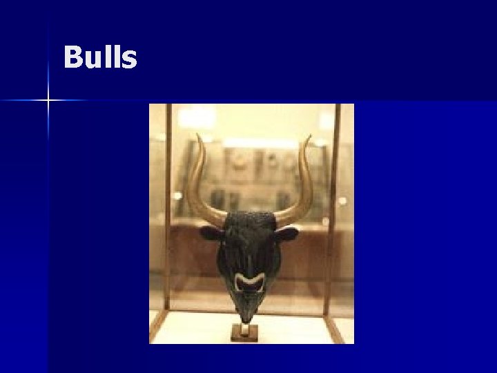 Bulls 