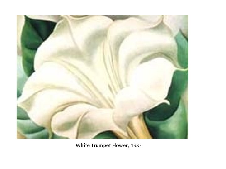 White Trumpet Flower, 1932 White Trumpet Flower, 1932