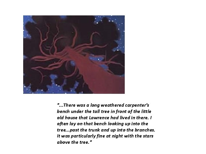 ". . . There was a long weathered carpenter's bench under the tall tree ". . . There was a long weathered carpenter's bench under the tall tree