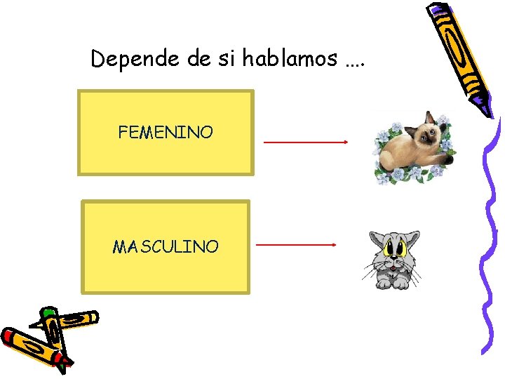 Depende de si hablamos …. FEMENINO MASCULINO 