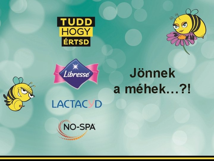 Jönnek a méhek…? ! 